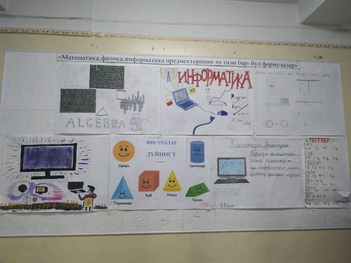 «Математика, физика, информатика предметтеринин өз тили бар- бул формулалар»